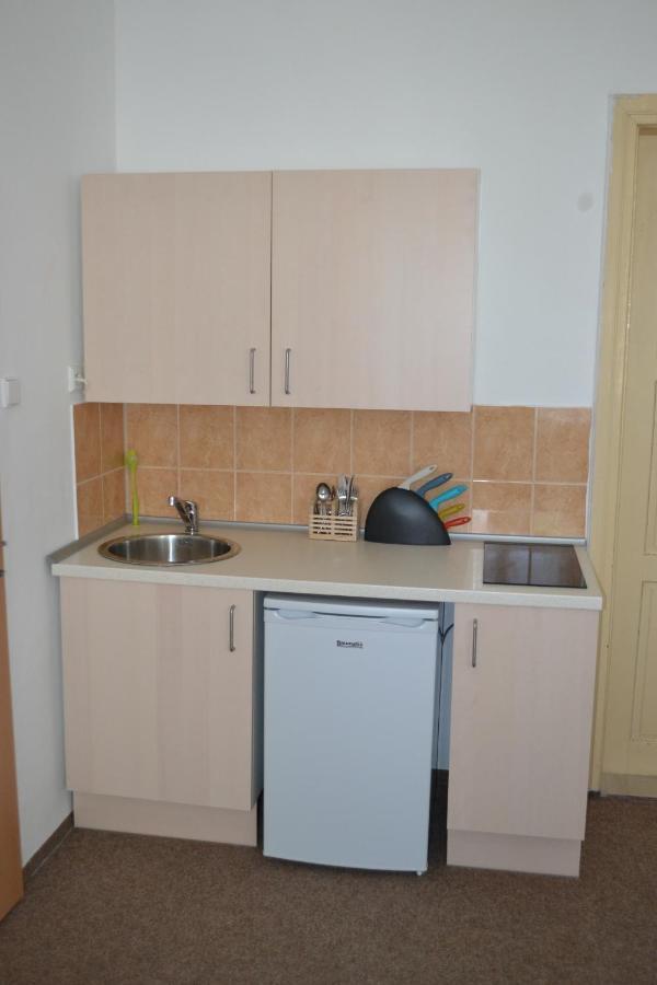 Hostel U Sv. Stepana Litoměřice Kamer foto